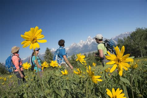 Jackson Hole Hiking - JH - Jackson Hole WY