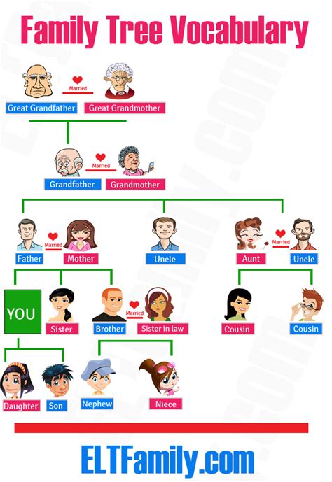 Gallery For > Extended Family Tree | English language teaching, Family tree, Vocabulary