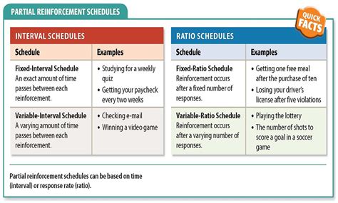 Schedules of Reinforcement in Psychology (Examples)