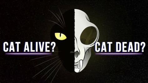 What Is Schrodinger's Cat Explained - Magic of Science