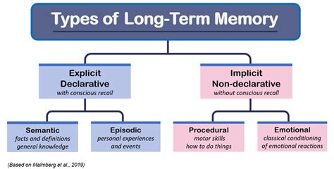 10 Explicit Memory Examples (2024)