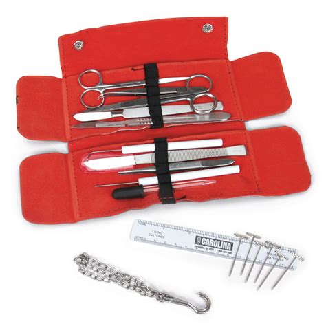 Advanced Anatomy Dissecting Set, with Leather Case | Carolina ...