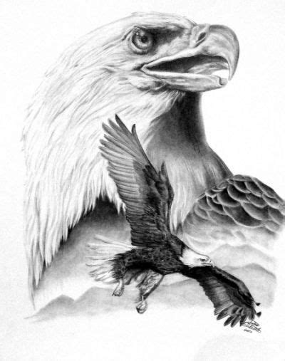 Bald Eagle Drawing Flying Eagle | Eagle drawing, Animal drawings, Eagle art