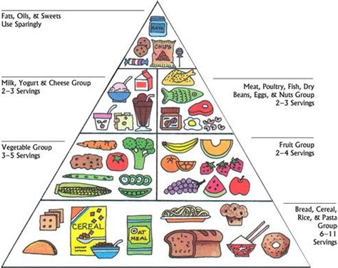 #Infographic - The 'Food Pyramid' Traditional vs Paleo - blonyx.ca