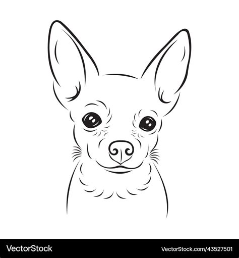 Silhouette of a chihuahua dogs face Royalty Free Vector