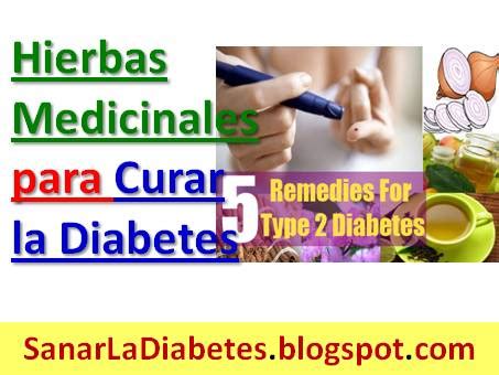 Sanar La Diabetes: ᐅ Hierbas y Plantas Medicinales Para La Diabetes 2 ...