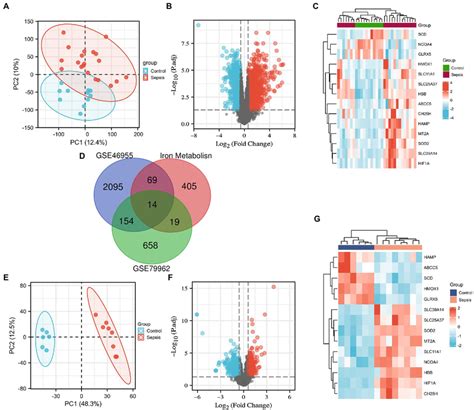 Screening of the differentially expressed iron metabolism-related genes... | Download Scientific ...