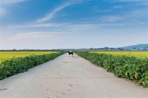 Buan, South Korea. A glimpse into our small town. — CityGirlSearching