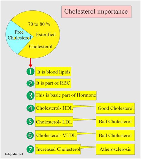 Cholesterol (Serum Cholesterol) - Labpedia.net