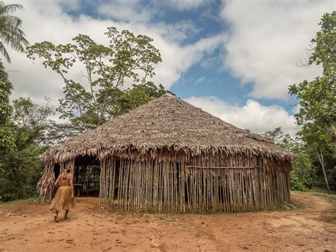 How Do Indigenous Tribes Live In The Amazon Rainforest? - Rainforest ...