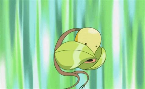 🔥 Download Bellsprout Gif Umad by @philipm63 | Bellsprout HD Wallpapers ...