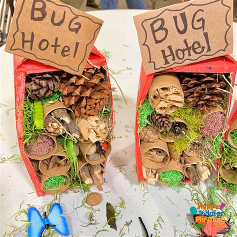 How to Make a Bug Hotel Craft: Fun Craft for Kids - Happy Toddler ...