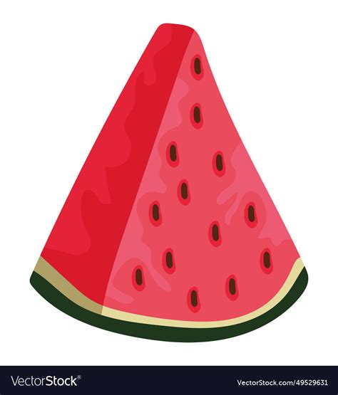 Watermelon slice Royalty Free Vector Image - VectorStock