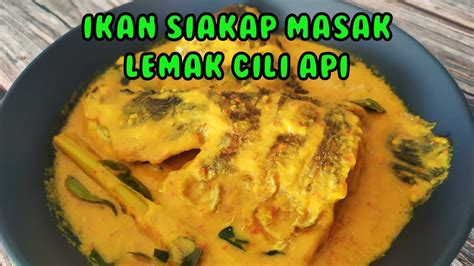 Ikan Siakap Masak Lemak Cili Api - Resepi Mudah & Pasti Sedap! - YouTube