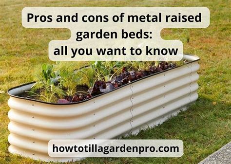 Pros And Cons Of Metal Raised Garden Beds: The Best Guide 2024