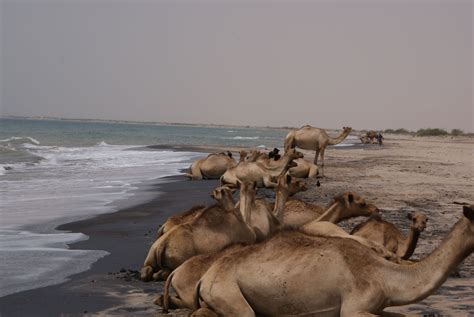 berbera, somalia | ... Batalaale Ee Magaalada Berbera Dalxiis Ahaan ...