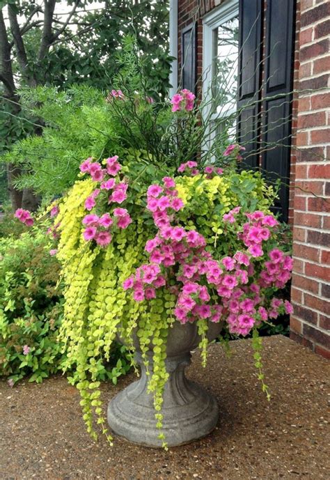 19+ Beautiful Planters With Beautiful Flower For Your Front Porch Decoration #flowers # ...