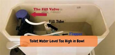 How to Adjust American Standard Toilet Water Level in Toilet Bowl?