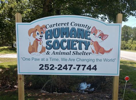 Get to know Carteret County Humane Society | Humane society, Animal shelter, Animal rescue