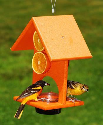 Orange Oriole Feeder Oriole Bird Feeders, Garden Bird Feeders, Bird ...