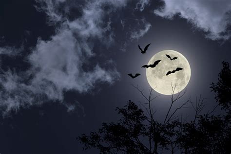 Spooky Halloween Sky Stock Photo - Download Image Now - iStock