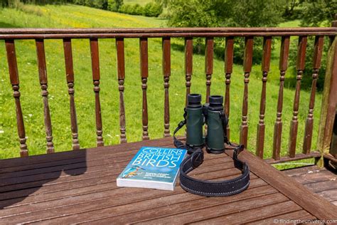 A Beginner's Guide to Birdwatching - Finding the Universe