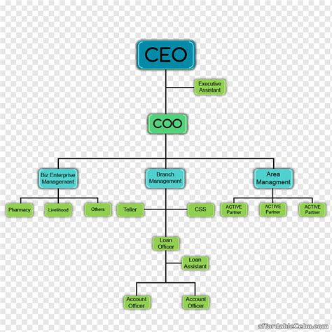 Organizational chart Diagram Organizational structure Cooperative, Business, text, rectangle ...