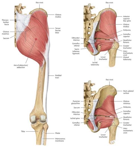 Hip Mobility Exercises: Internal and External Rotation in Yoga ...