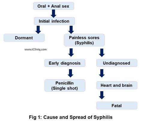 Syphilis - Symptoms | Risk Factors | Treatments | Prevention