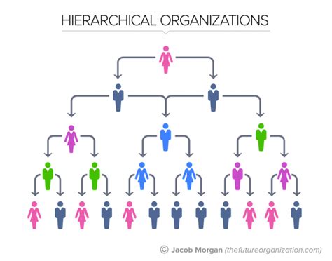 The 5 Types Of Organizational Structures: Part 1, The Hierarchy ...