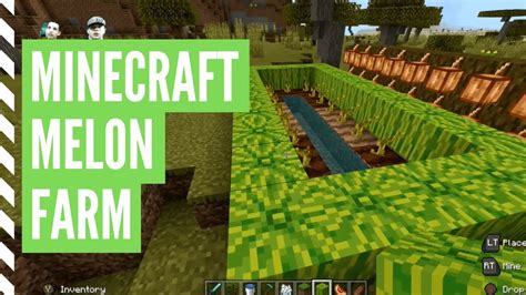 [最も共有された！ √] planting melon seeds minecraft 494779-How to grow melon seeds minecraft - Joshimageswms