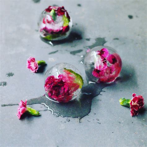 Home page sacha kann styling | Flower ice cubes, Fancy ice cubes ...