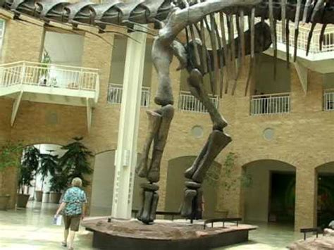 Argentinosaurus Dinosaur Skeleton Part 2 @ Fernbank Museum, Atlanta ...