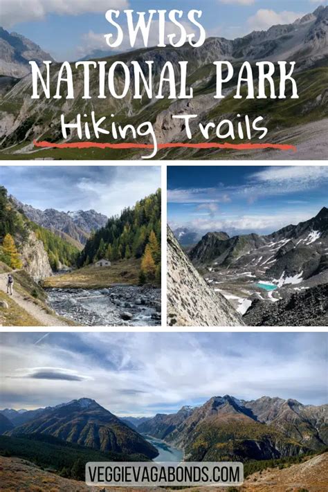 Swiss National Park Hiking Trails - 5 Incredible Options