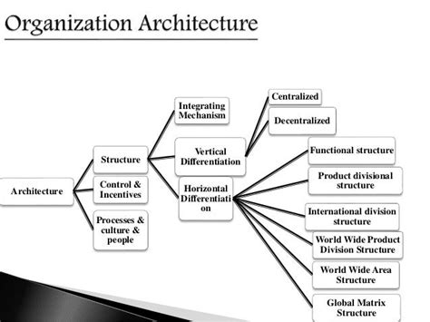 Organization Architecture