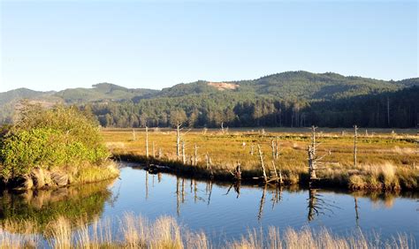 Siletz Bay National Wildlife Refuge | Natural Atlas