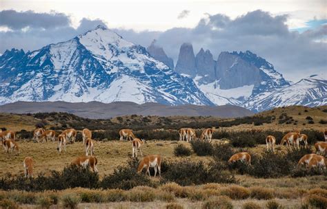 A Brief Guide to Chile Culture: People, History, Language, Food, and ...