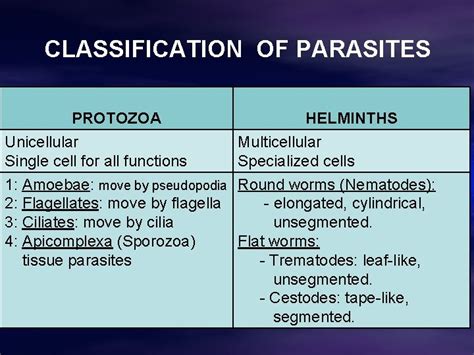 Intestinal Protozoa CLASSIFICATION OF PARASITES PROTOZOA HELMINTHS Unicellular