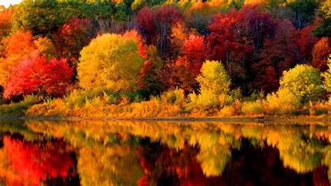 🔥 [39+] Fall in New England Wallpapers | WallpaperSafari