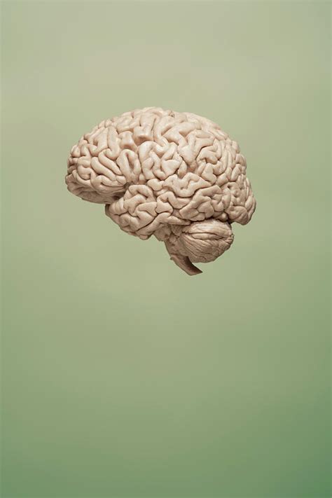 Floating Brain On Green Background by Chris Parsons