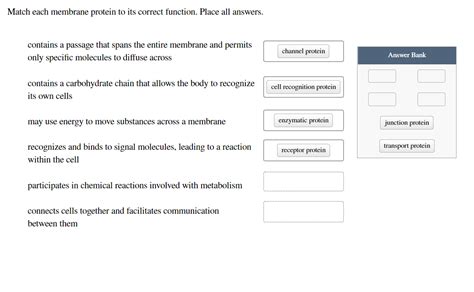 [Solved] Match each membrane protein to its correct function. Place all ...