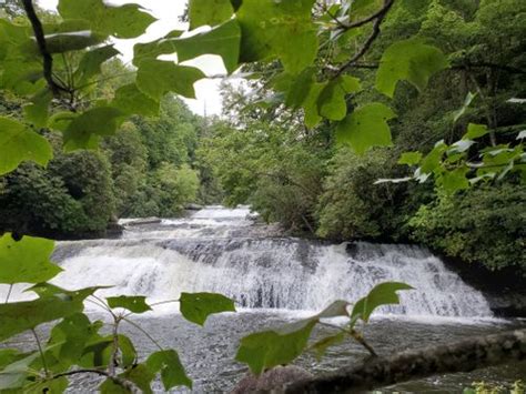 Best 10 Hikes and Trails in Gorges State Park | AllTrails