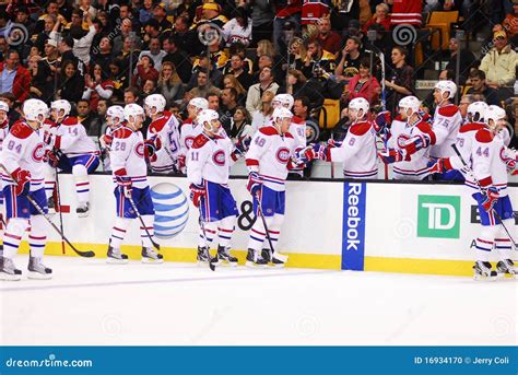 Goal Celebration editorial image. Image of skate, hockey - 16934170