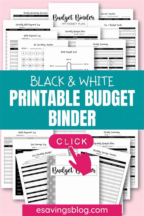 BLACK & WHITE PRINTABLE BUDGET BINDER | Budgeting, Budget goals, Budget binder