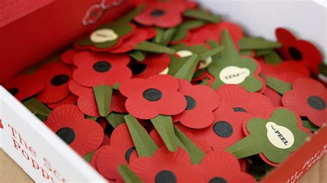 Remembrance Day appeal launches with Kent-made eco-poppy - BBC News