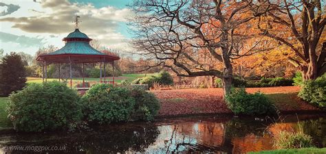 Moggpix Photography | Bandstand: Sefton Park, Liverpool