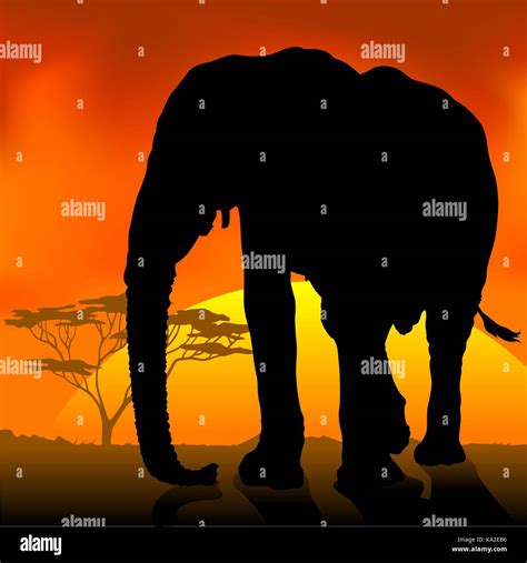 Elephant Silhouette An African Sunset Stock Vector Image & Art - Alamy