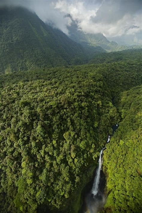 Desert Dreamer | Africa travel, Bioko, Guinea africa