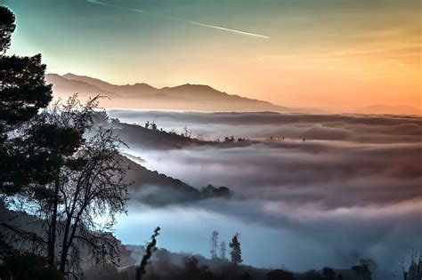 Foggy Morning Sunrise in Griffith Park | David Da Costa Photography