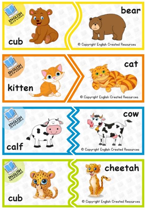 Animals And Their Babies Worksheet Pdf